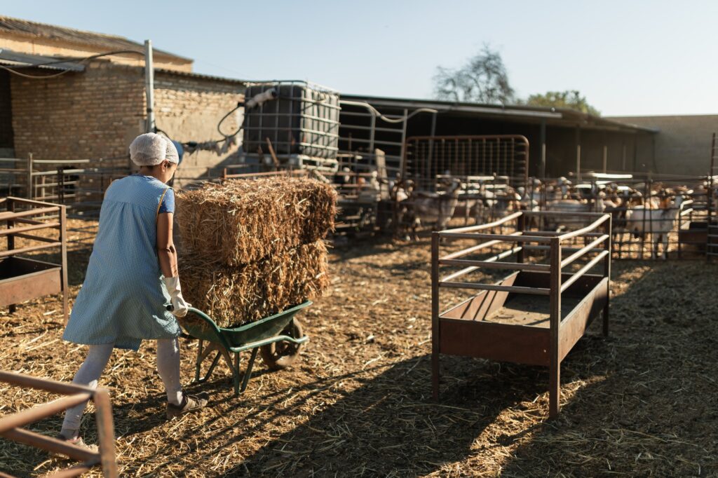 Anonymous female with trolley on farm in farmland
