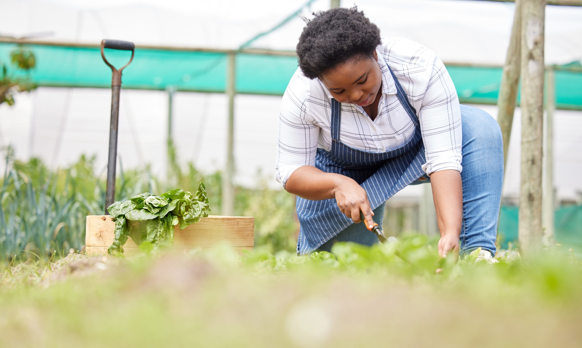 Farming is a game of patience and hope. Shot of a young woman tending to the crops on a farm.